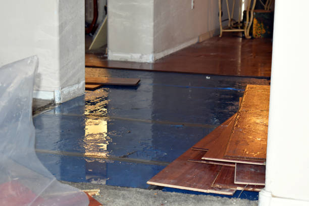 Professional Basement Flood Cleanup technician working in Camden, OH